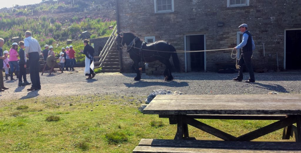 Horse and crowd at Killhope